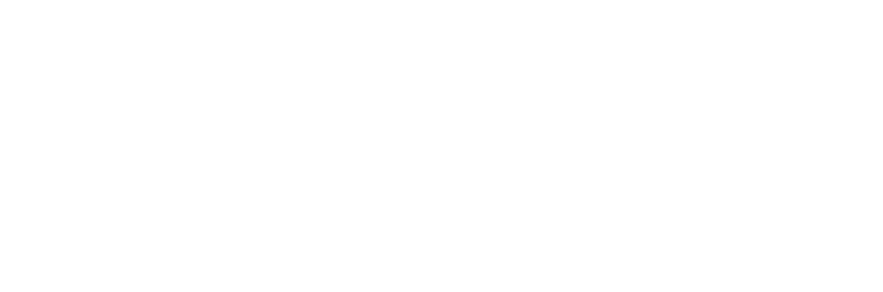 Saltoki Offsite Logo